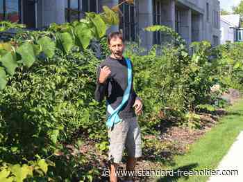 Tiny Forest at Cornwall Public Library has its official launch event - Standard Freeholder