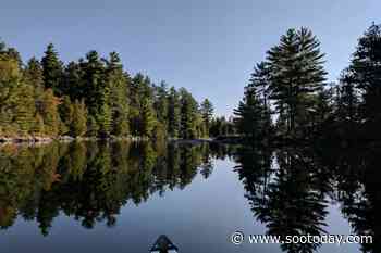 Hang out with Forest the Canoe (4 photos) - Sault Ste. Marie News - SooToday