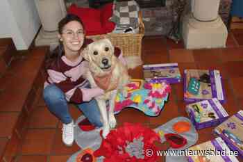 Studente opent eerste spelotheek voor honden in Limburg