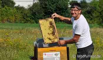 BRUCHSAL | Mit nachhaltigen Geldanlagen Bienenpatenschaften der Sparkasse Kraichgau unterstützen - Landfunker