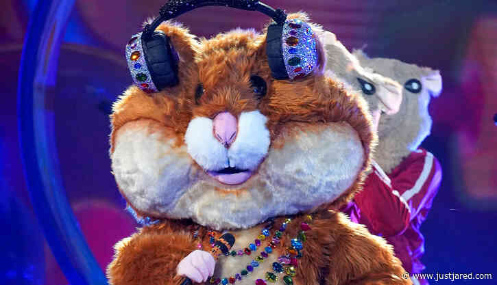 Who is Hamster on 'The Masked Singer' 2021? Spoilers, Clues & Guesses Revealed!
