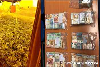 Parket vraagt zware celstraffen voor kopstukken die cannabisplantages uitbaatten