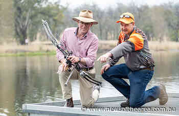 New rules for bowfishers put carp in the crosshairs - News Of The Area