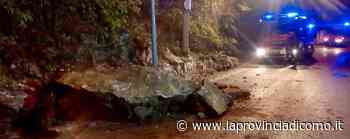 Paura a Caslino Sassi sulla strada - Cronaca, Caslino d'Erba - La Provincia di Como