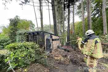 Vlammen vernielen tuinhuisje (Nijlen) - Gazet van Antwerpen Mobile - Gazet van Antwerpen