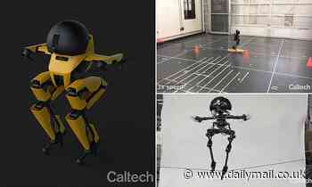 Meet LEO, the professional slackliner robot built to act like a drone-bot hybrid