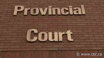 Saskatoon nurse pleads guilty of defrauding Sask. Union of Nurses local of $20,000 - CBC.ca