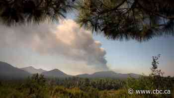 Airport shut in Spain's La Palma due to volcano ash