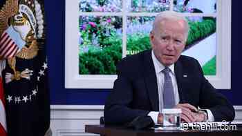 Biden, Xi to hold virtual summit by end of this year