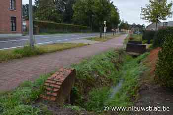 Ratten gedijen goed aan Brechtsesteenweg