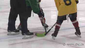 Ontario woman pleads guilty after $2.4M minor hockey fraud