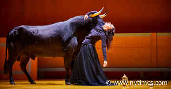 From a Contemporary Drama Festival, Tales of Art and Survival