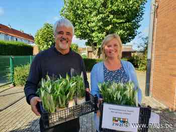 Co2 meters en dag van de leerkracht in Zwalm - NUUS