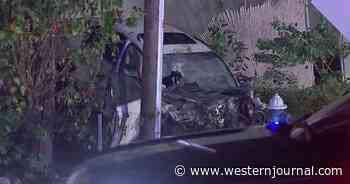 Teen Driver Kills 3 After Fleeing Cops: All 'Because One Person Decided They Didn't Want a Ticket'