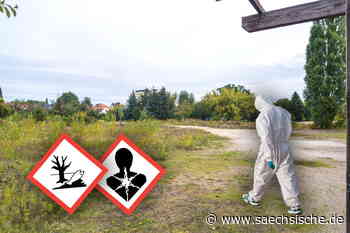 Riesa: Riesa: Belastete alte Schulhöfe - Sächsische.de