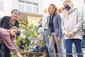 Riesa: Freies Gymnasium Riesa: "Wir haben uns Akzeptanz erarbeitet" - Sächsische.de