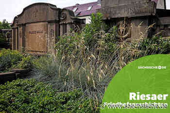 Riesa: Der Friedhof als Geschichtsbuch - Sächsische.de