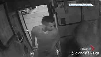 Calgary police release video of sexual assault suspect