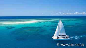 Tourism businesses fear closure in the next three months, as sector prepares for slow recovery