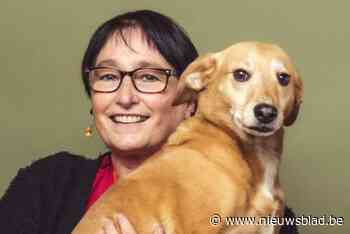 Marianne Van den Lemmer is nieuwe fractieleider Vlaams Belang Brecht