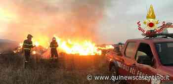 In fiamme sterpaglie e 50 rotoballe - quinewscasentino.it
