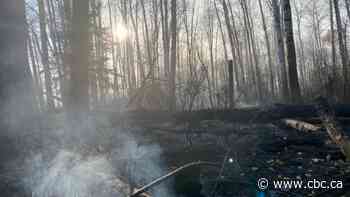 Southern Saskatchewan under air quality alert from Hudson Bay wildfires