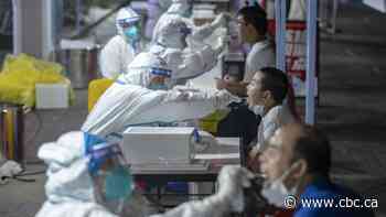 Pandemic early warning system has issued only a handful of alerts since start of 2020