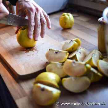 Warum Fruchtfleisch von Quitten braun sein kann - radioeuskirchen.de