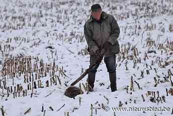 Man (76) riskeert 6 maanden cel met uitstel voor mishandelen van das - Het Nieuwsblad
