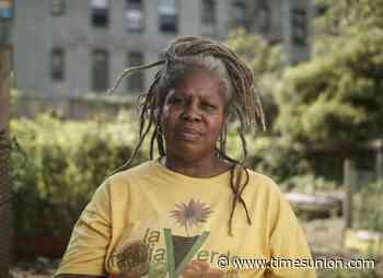 Farmers get 15 minutes of fame at 'Harvest Festival' - Albany Times Union