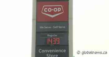 ‘Get used to it’: Saskatchewan’s cost of gasoline increasing