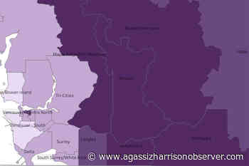 BCCDC: Eastern Fraser Valley cases remain high, Chilliwack infections continue to spike – Agassiz Harrison Observer - Agassiz Harrison Observer