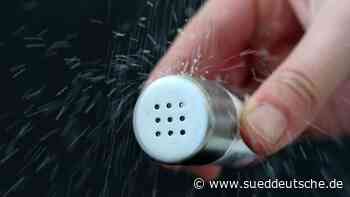 Dresdner Schau zu Kochkunst und Tafelkultur in Deutschland - Süddeutsche Zeitung