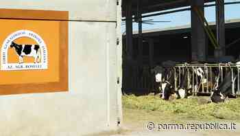 Innovazione, Intesa premia una piccola azienda agricola di Parma - La Repubblica