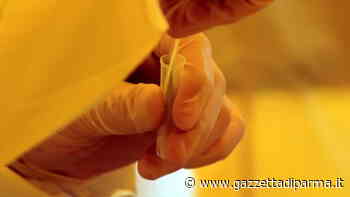 Covid: a Parma 24 positivi in più, stabile la terapia intensiva - Gazzetta di Parma