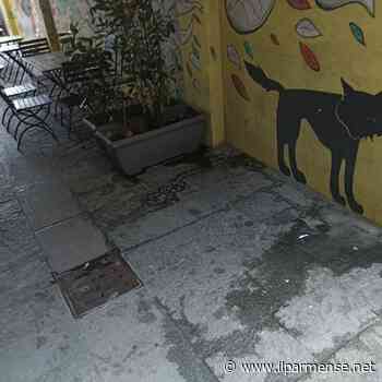 Parma, commercianti esasperati: “Degrado in Piazza Ghiaia e Borgo Paggeria” - Luca Galvani
