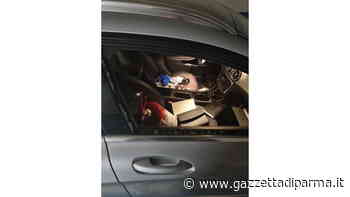 Furto con spaccata al Goito - Gazzetta di Parma