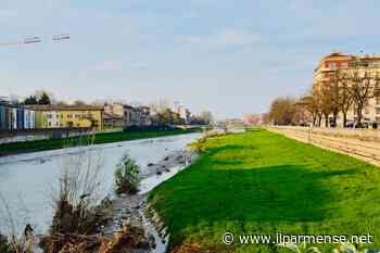 Alla scoperta di piante e fiori camminando nel greto del Torrente Parma: come partecipare - Luca Galvani