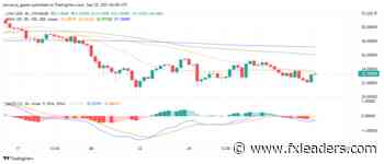 Chainlink (LINK) Recovering? Here's Why It's an Interesting Buy - FX Leaders