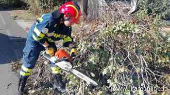 Il maltempo si abbatte su Ardea: strade allagate, traffico in tilt e alberi caduti - Il Faro online
