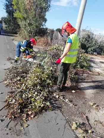 Maltempo: ad Ardea allagamenti in strada, alberi e rami caduti sulla carreggiata - Il Caffè.tv
