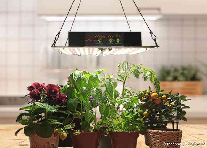 Octopus smart LED grow light with remote camera, phone app control and more