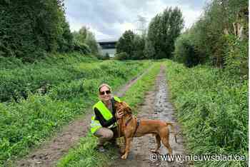Parlementslid helpt handje in dierenopvangcentrum