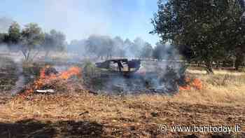 Droni, fototrappole e telecamere per combattere i roghi tossici a Santa Rita e Japigia: riunione in Prefettura a Bari - BariToday
