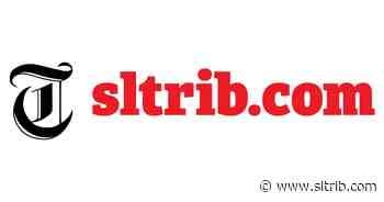 Melissa Nelson-Stippich: Time to become a super fan of democracy in Utah - Salt Lake Tribune