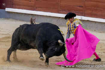 Spain won’t let youth spend cash windfall on bullfights - Nelson Star
