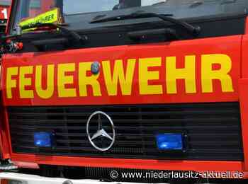 Zeugen gesucht: Mehrere Autos in Guben in Brand gesetzt - NIEDERLAUSITZ aktuell