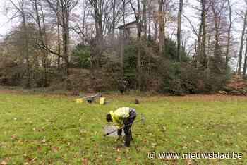 Motte Den Dulft dateert wellicht al uit de Middeleeuwen