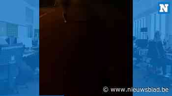 Dronken bestuurder gaat door het lint en wil buurtbewoners te lijf gaan met ijzeren staaf: “Hij had ons bijna aangereden” - Het Nieuwsblad