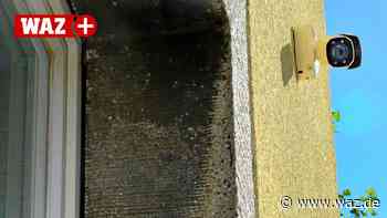 Witten: Kameras sorgen am sanierten Rathaus für Irritationen - Westdeutsche Allgemeine Zeitung